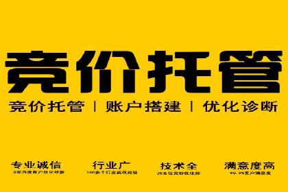 代理开户服务在海外投资中的应用案例